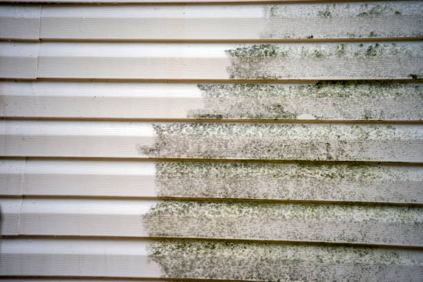 Best Residential Vinyl Siding Installation  in Rochester, MI