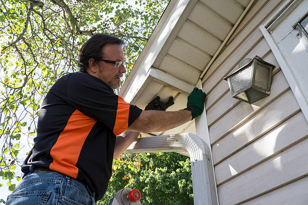 Best Composite Siding  in Rochester, MI