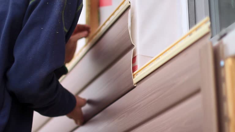 Best Historical Building Siding Restoration  in Rochester, MI